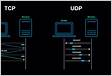 Performance Comparison between TCP and UDP Protocols in